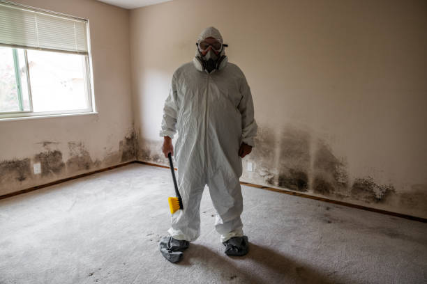 Mold Documentation for Insurance Claims in Port Richey, FL